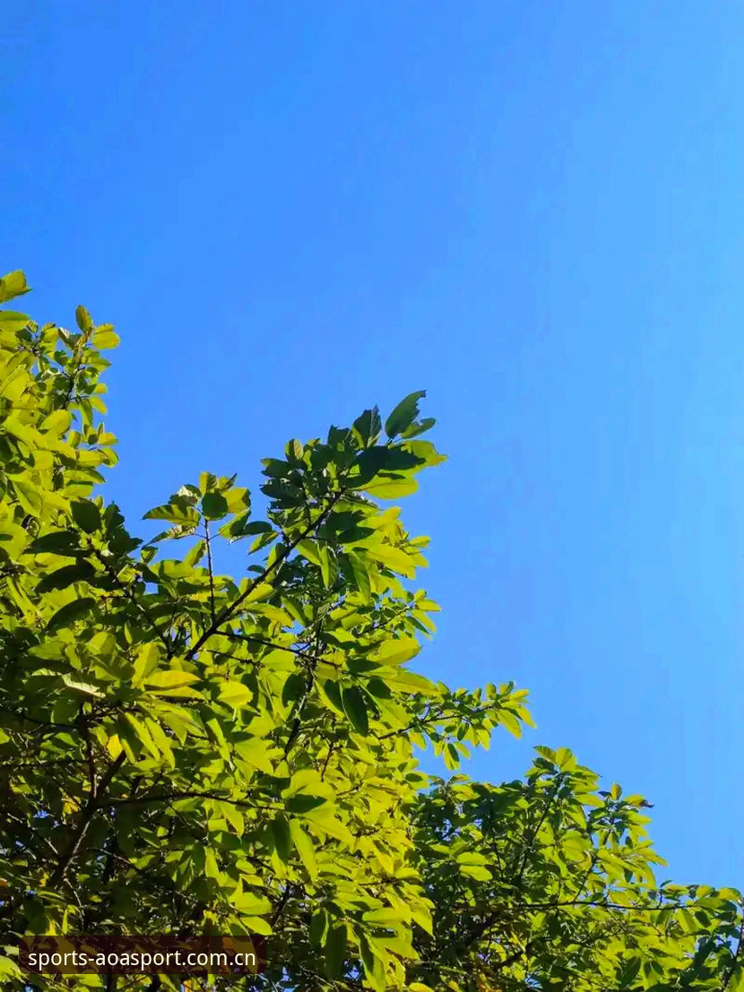 AOA体育怎么样评测 近期,西甲劲旅皇家社会在转会市场上的动向成为了不少球迷关注的焦点。据记者鲁迪·加莱蒂和《马卡电台》透露,球队正在积极接触柏林联合的葡萄牙后卫迪奥戈·莱特,计划让他接替即将离队的杜耶·卡尔塔-卡尔,成为后防线上的新核心。很多用户通过AOA体育平台第一时间接收到了这条消息,并在社区里讨论球员的技术特点。如果你也在关注这笔交易,不妨先从了解球员本身开始。不少新手用户常问“AOA体育怎么样评测球员数据?”,其实平台提供了详细的比赛录像和技术统计,帮助我们更直观地看清一个球员的真实水平。